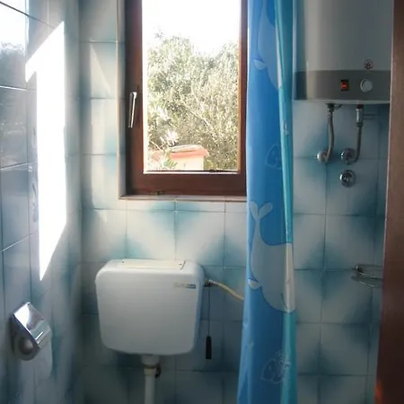Apartman Necu